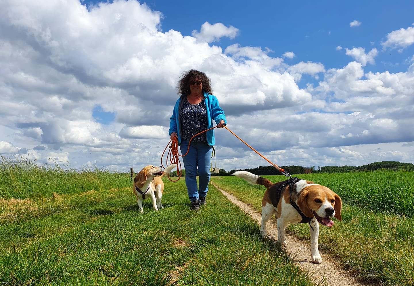 prendre soin de son animal