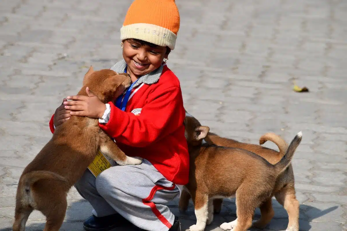 chiens  enfants