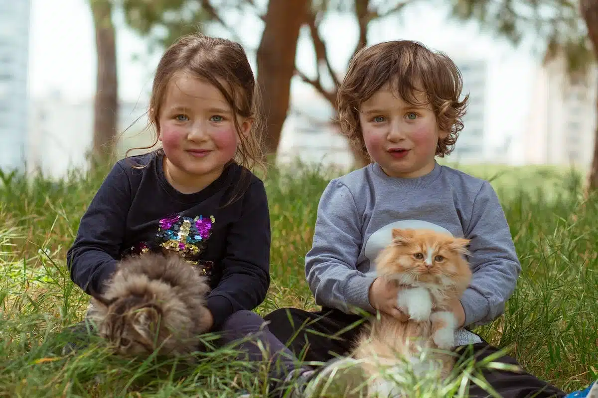 chats  enfants