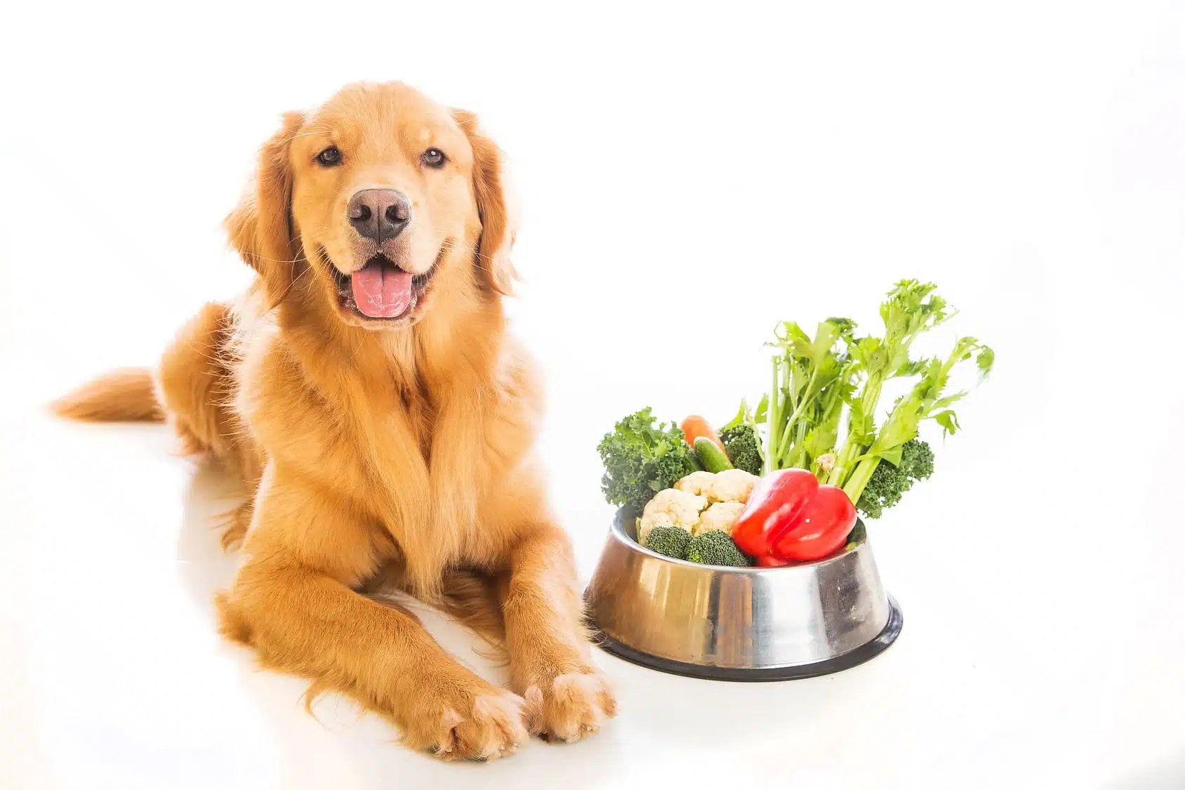 Acheter des légumes pour un chien