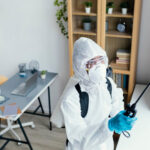 Dératisation professionnelle efficace : alliez style et commodité !