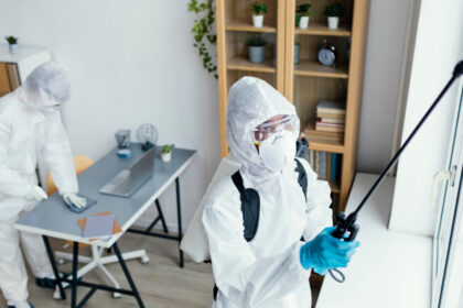 Dératisation professionnelle efficace : alliez style et commodité !
