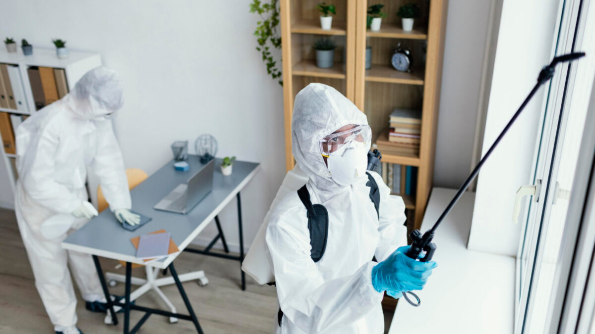 Dératisation professionnelle efficace : alliez style et commodité !